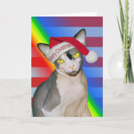 Cartão Gato Sphynx Ninja Papai Noel Natal Arco-íris