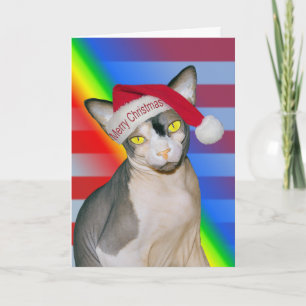 Cartão Gato Sphynx Ninja Papai Noel Natal Arco-íris
