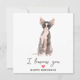 Cartão Gato Sphynx Rosa Cinza Mamãe Filhote Pets Aniversá