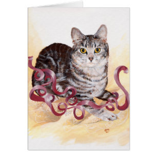 Cartão Gato Tabby American Shorthair