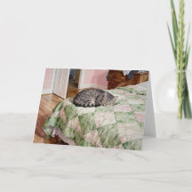 Gato Tabby Cinza Estudo D Em Aquarelas