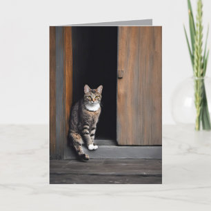 Cartão Gato Tabby de Aniversário na Porta do Celeiro