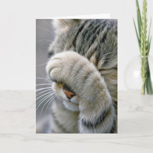 Cartão Gato Tabby Humor de Aniversário de Velhice