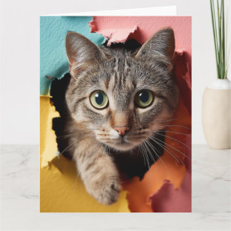 Cartão Gato Tabby Jovial Espiando Através de Papel Rasgad