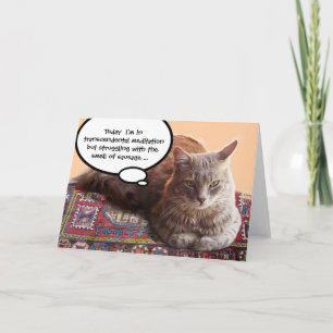 CARTÃO GATO TURCO EM MEDITAÇÃO TRANSCENDENTAL