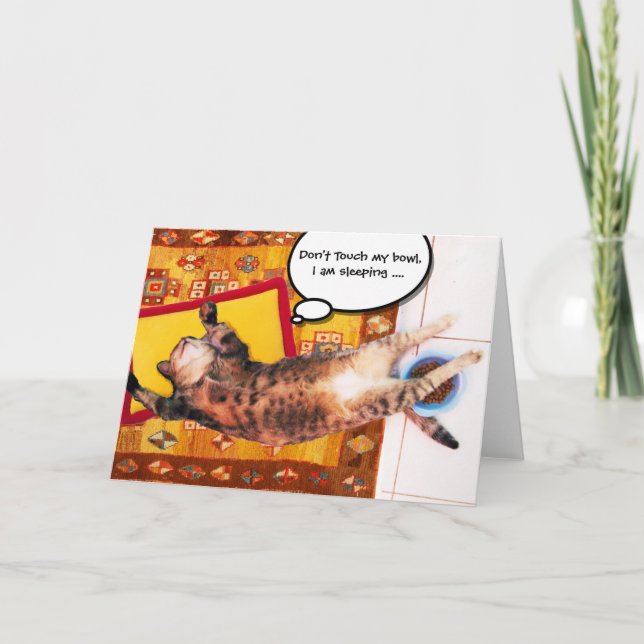 CARTÃO GATO TURCO SOBRE O VELHO CARPETE (Frente)