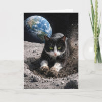 Gato Tuxedo de Aniversário Cavando uma Cratera Lun