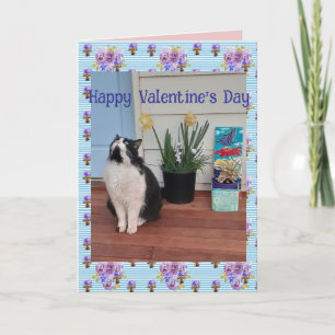 Cartão Gato Tuxedo Engraçado Dia dos Namorados Azul