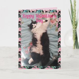 Cartão Gato Tuxedo Fofo Dia Dos Namorados Dança Feliz