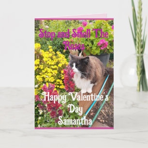 Cartão Gato Tuxedo Fungando Flores Dia dos Namorados Engr