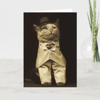 Cartão Gato Vestido de 1906 Vintage Greeting Card