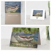 Gator de Grinning Pensando em você Saudação
