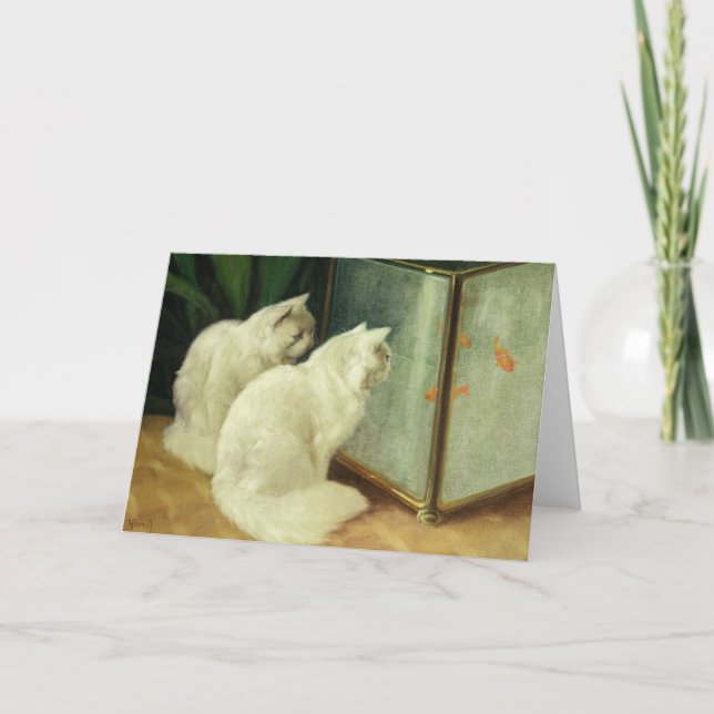 Cartão Gatos Brancos Vendo Peixe-Sol (Frente)