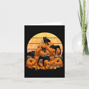 Cartão Gatos Caem Outono Pumpkins Ação de Graças