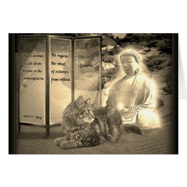 Cartão Gatos contemplativos como Buda (Frente Horizontal)