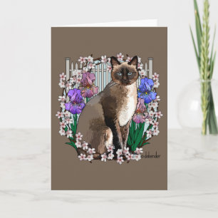 Cartão Gatos-costões - Jardim Primavera
