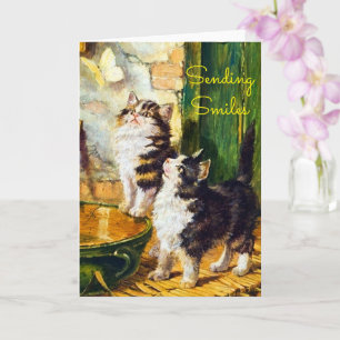 Cartão Gatos Curiosos Vintage Borboleta Enviando Sorrisos