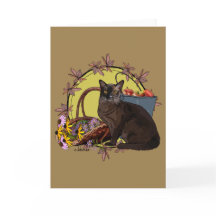 Gatos das estações - jardim do outono