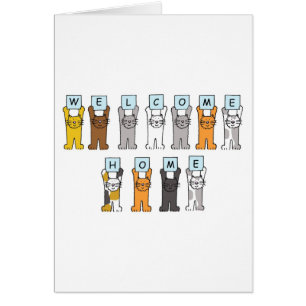 Cartão Gatos de Cartoons Bem-vindos ao lar