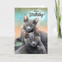 Gatos de Cinza de Aniversário para o Gato Lover