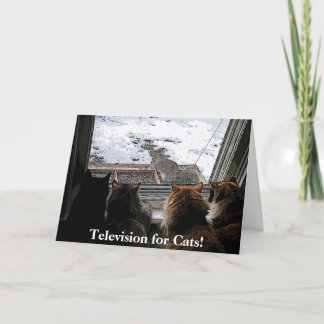 Cartão Gatos e Esquilo