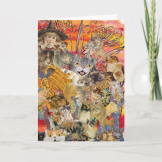 Cartão Gatos e Plantação