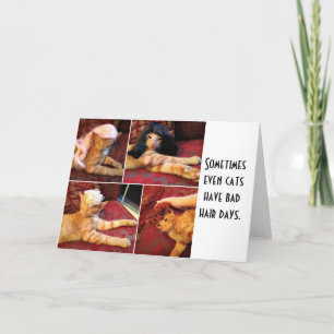 Cartão Gatos em perucas (dentro de vazio)