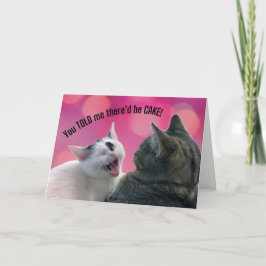 Cartão Gatos Engraçados que me disse que haveria BOLO Ani