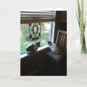 Cartão Gatos esperando