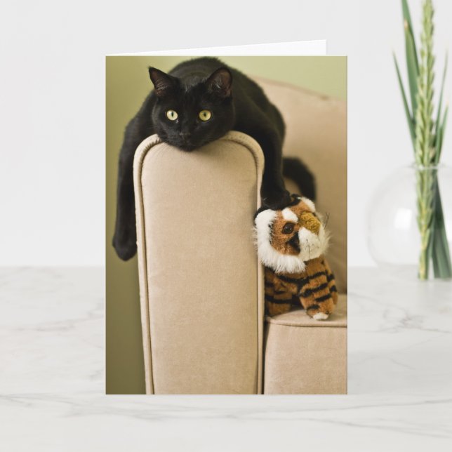 Cartão Gatos falsos Notecard (Frente)