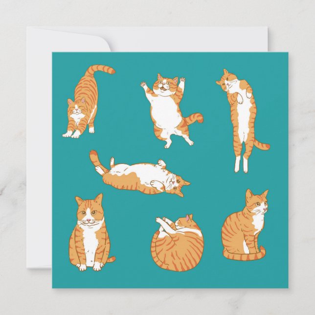 Cartão Gatos Laranjas Aniversário Divertido (Frente)