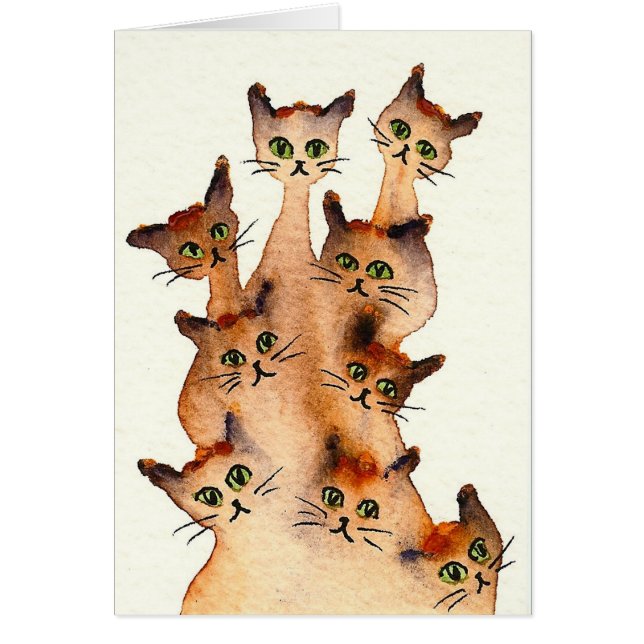 Cartão Gatos lunáticos de Joliet (Frente)