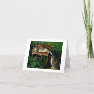 Cartão Gatos no jardim