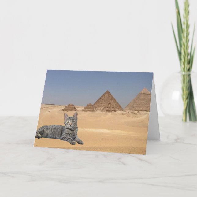 Cartão Gatos Regem! (Frente)