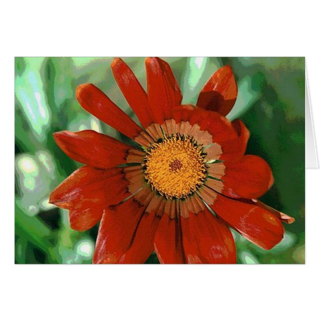 Cartão Gazania (Frente Horizontal)