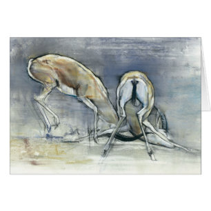 Cartão Gazelas da areia 2009 2