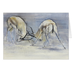 Cartão Gazelas da areia 2009 3