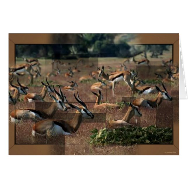 Cartão Gazelle Card (Frente Horizontal)