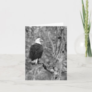 Cartão Gazing Eagle B&W Note Card