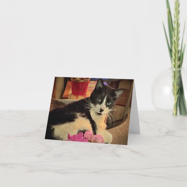 Cartão Gazing Lazily (vazio) (Frente)