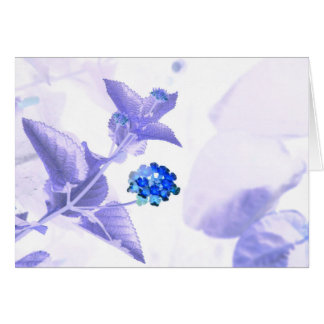 Cartão GC de uma comunicação