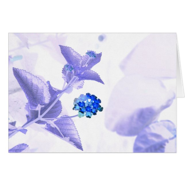 Cartão GC de uma comunicação (Frente Horizontal)