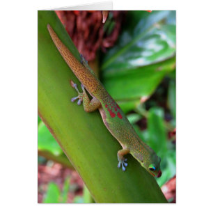 Cartão Gecko de Poeira Dourada