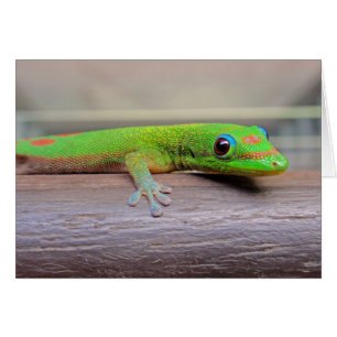 Cartão Gecko do Dia da Pó Dourada