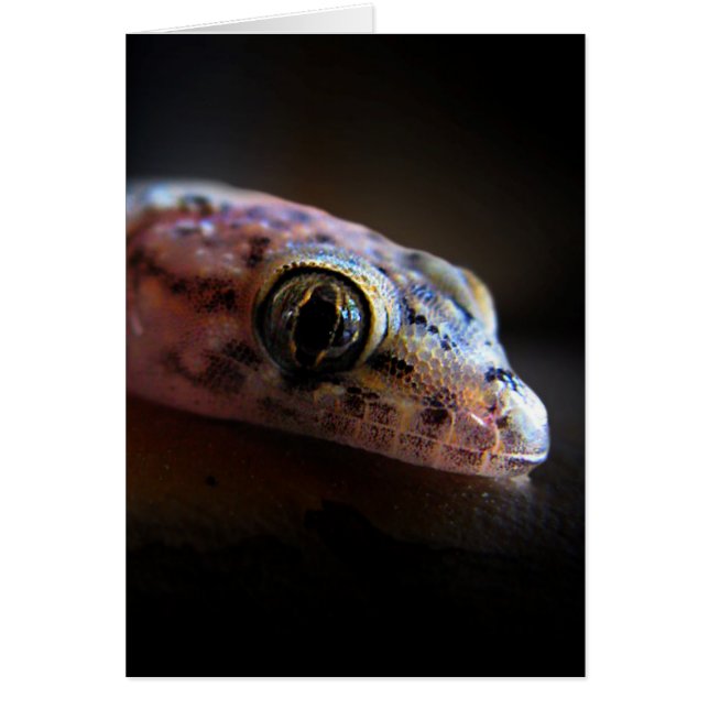 Cartão Gecko Lizard do Mediterrâneo (Frente)
