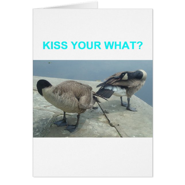 Cartão Geese (Frente)