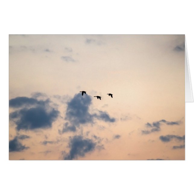 Cartão Geese e Soft Sunset (Frente Horizontal)