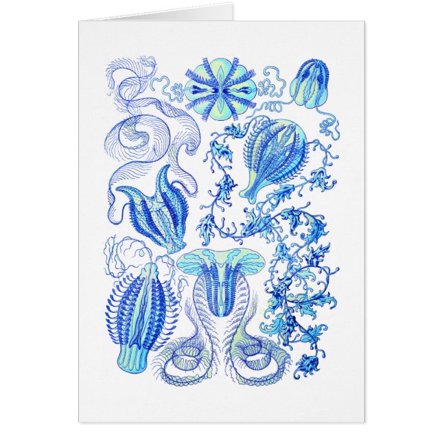 Cartão Geléias de pente (Frente)