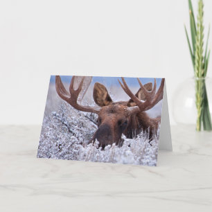 Cartão Gelo e neve Grand Teton National Park, Wyoming