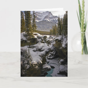 Cartão Gelo e neve   Jasper National Park Alberta, Canadá